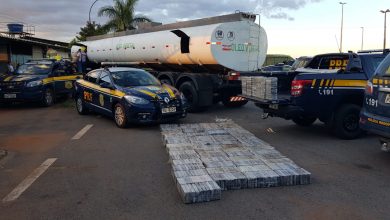 Photo of Cerca de uma tonelada de cocaína que viria para a Bahia é apreendida em Goiás