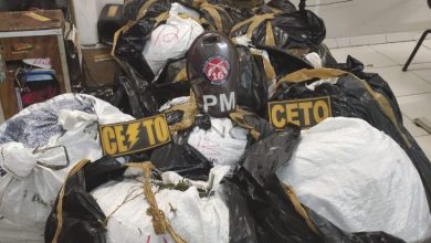 Photo of Mais de 150 kg de maconha são encontrados em sacos de linhagem na BR-116