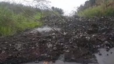 Photo of Deslizamento de terra deixa estrada interditada no sul da Bahia