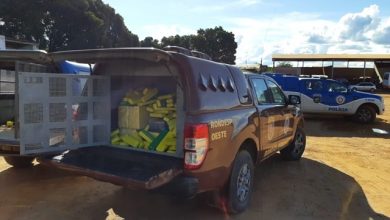 Photo of Com ajuda de cadela farejadora, Rondesp localiza 1 tonelada de maconha em caminhão na Bahia