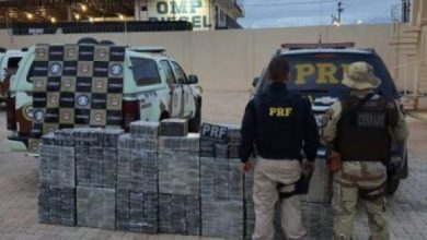 Photo of Em operação conjunta, polícias apreendem meia tonelada de cocaína escondida em cofre enterrado na Bahia