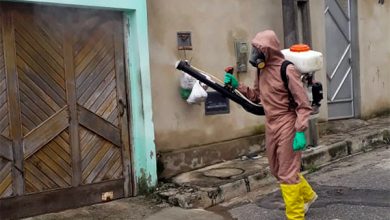 Photo of Alerta na região: Mais três mortes por dengue, uma aconteceu em Conquista