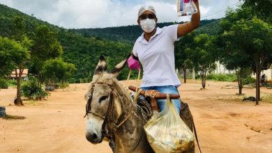 Photo of Enfermeira se desloca de jegue em área rural da Chapada para ajudar famílias na prevenção contra a Covid-19