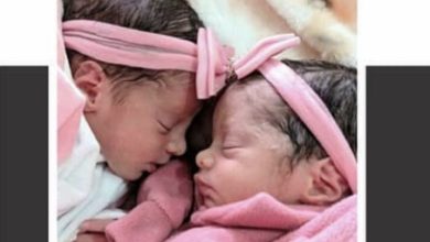 Photo of Luto em Piripá: Bebês gêmeas morrem após serem atacadas por cachorros da família