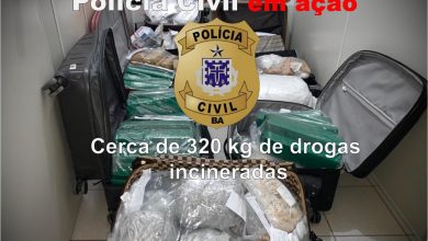 Photo of Polícia civil destrói mais de 300 kg de drogas em Conquista