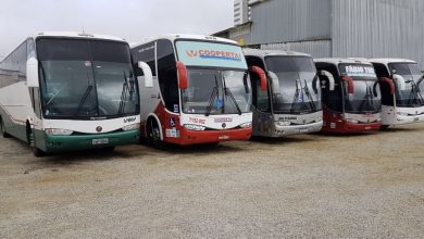 Photo of 14 ônibus clandestinos são apreendidos com mais de 340 passageiros em cidades da região