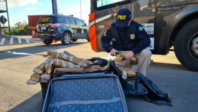 Photo of Passageiros são flagrados com bagagens recheadas de droga em Conquista