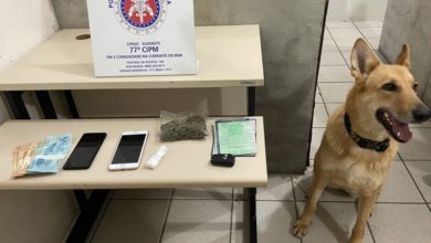 Photo of Motorista de aplicativo é preso com drogas em Conquista