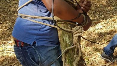 Photo of Bahia: Motorista de aplicativo é sequestrado e amarrado em árvore