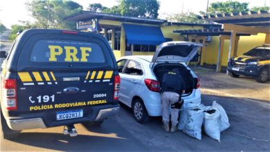 Photo of Motorista de aplicativo é preso com 26kg de maconha em porta-malas de veículo no sul da Bahia