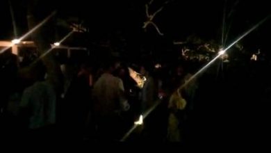 Photo of Polícia acaba festa com 700 pessoas na casa de Elba Ramalho no sul da Bahia; imóvel estava alugado