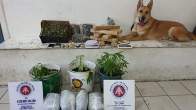 Photo of Após informações do Disk Denúncia, polícia militar apreende grande quantidade de drogas em Conquista; três foram presos
