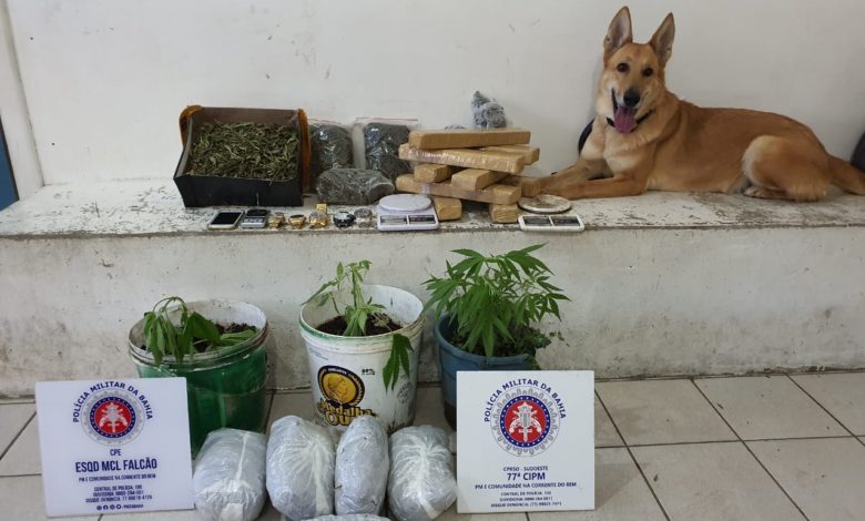 Photo of Após informações do Disk Denúncia, polícia militar apreende grande quantidade de drogas em Conquista; três foram presos