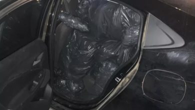 Photo of Bahia: Cerca de 300 kg de maconha são apreendidos em dois carros abarrotados com sacos da droga