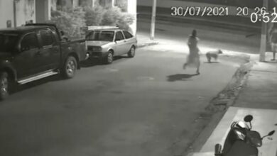 Photo of Vídeo mostra cão da raça Pitbull fugindo para a rua e atacando criança de 9 anos na região