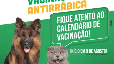 Photo of Jequié começa vacinação contra a raiva em cães e gatos a partir de hoje; confira a programação