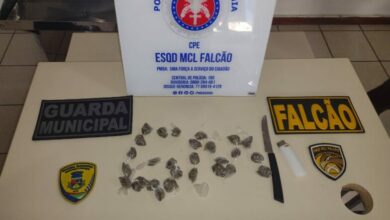 Photo of Conquista: Em ação conjunta, Guarda Municipal e Esquadrão Falcão apreendem droga e conduzem suspeitos ao Disep