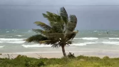 Photo of Marinha emite alerta de mau tempo no sul da Bahia; ondas em alto mar podem chegar a 5 metros