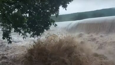 Photo of Comandante dos Bombeiros da Bahia relata preocupação com quantidade de águas em barragens: ‘várias em nível crítico’