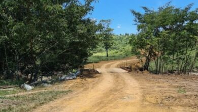 Photo of Conquista: Ação da Secretaria de Desenvolvimento Rural desobstrui estradas afetadas pelas chuvas