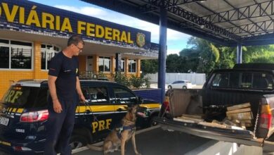 Photo of Vídeo: Com ajuda de cão farejador, polícia apreende quase 65kg de maconha em Conquista