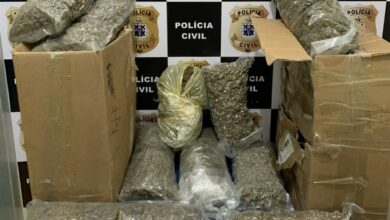 Photo of Vídeo: Polícia civil identifica esquema de entrega de drogas utilizando transportadoras e apreende maconha em Conquista e Jequié