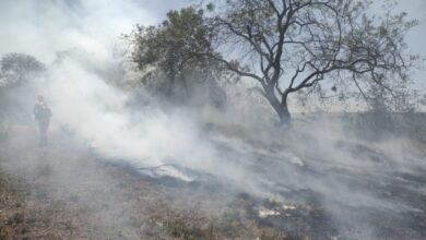 Photo of Focos de incêndio atingiram diversas áreas de Conquista nesse domingo