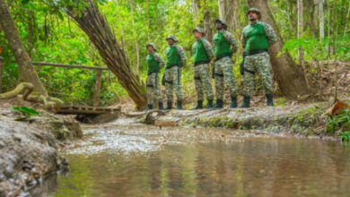 Photo of Conquista: Guarda Municipal conta com grupamento especializado de proteção ao meio ambiente