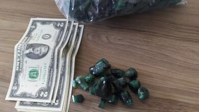 Photo of Pai e filho são presos com dólares e várias pedras de esmeraldas na BR-116