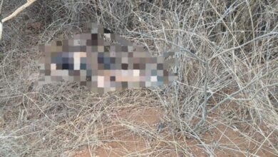 Photo of Jovem de Jequié é encontrado morto com marcas de tiros em matagal