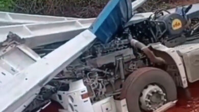 Photo of Vídeo: Caminhoneiro se envolve em acidente após desviar de animal na região
