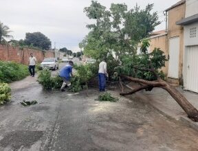 Photo of Vídeo: Cidade da região é atingida por temporal nesta segunda-feira