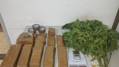 Photo of Polícia militar encontra pés de maconha e 8kg da droga próximo a Conquista