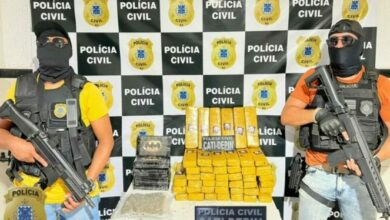 Photo of Polícia Civil apreende mais de 50kg de drogas na região; duas mulheres foram presas