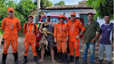 Photo of Conquista: Cachorro cai em cisterna e é salvo pelos bombeiros