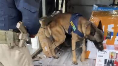 Photo of Vídeo: Com ajuda de cão farejador PRF apreende cocaína em Conquista