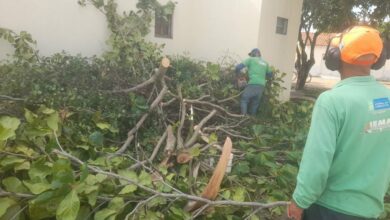 Photo of Conquista: Secretaria de Meio Ambiente atende ocorrências em áreas rurais afetadas por tempestade na última sexta