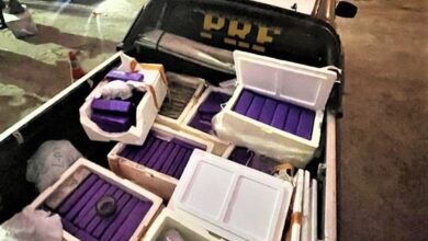 Photo of Mais de 100kg de drogas são apreendidos dentro de caixas de isopor em bagageiro na BR-116