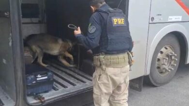 Photo of Vídeo mostra cão farejador encontrando cocaína escondida dentro de caixa de som em Conquista