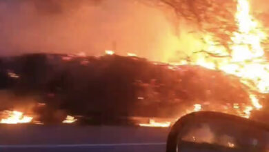 Photo of Região: Vídeo mostra incêndio às margens de rodovia