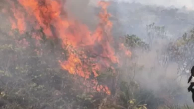 Photo of Região: Incêndio destrói área equivalente a mil campos de futebol