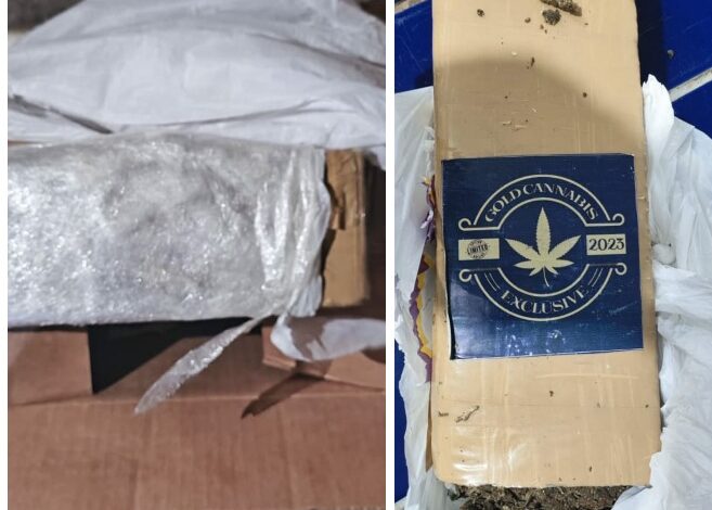 Photo of Polícia encontra encomenda de maconha que seria entregue na região