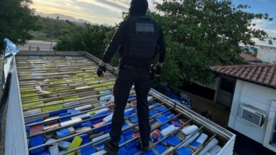 Photo of Região: Polícia apreende 600kg de maconha escondidos em caminhão baú