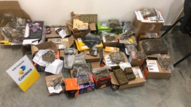 Photo of Mais de 10kg de drogas são encontrados em embalagens de panetones e brinquedos nos Correios