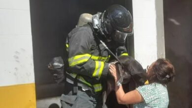 Photo of Região: Cachorrinhos são resgatados de oficina que pegou fogo