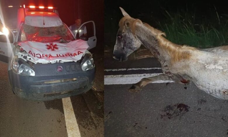 Photo of Região: Acidente com ambulância na estrada